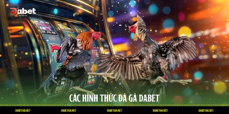 Các hình thức đá gà DABET