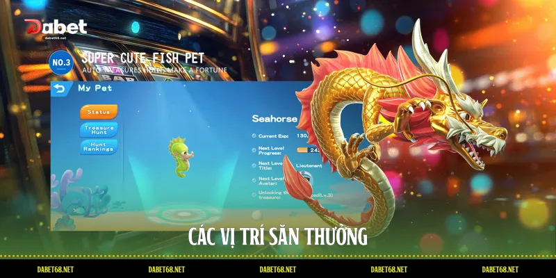 Các vị trí săn thưởng