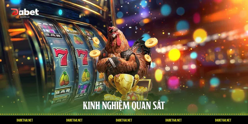 Kinh nghiệm quan sát