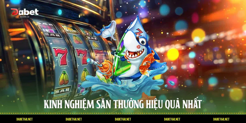 Kinh nghiệm săn thưởng hiệu quả nhất
