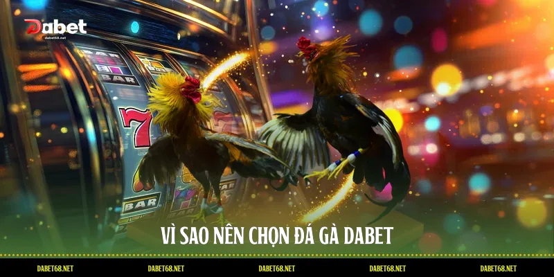 Vì sao nên chọn đá gà DABET